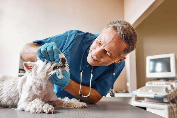 Best Pediatric Emergency Dentist in Atlantic Beach, FL